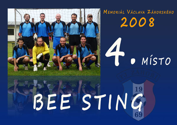 diplom_bee_sting.jpg